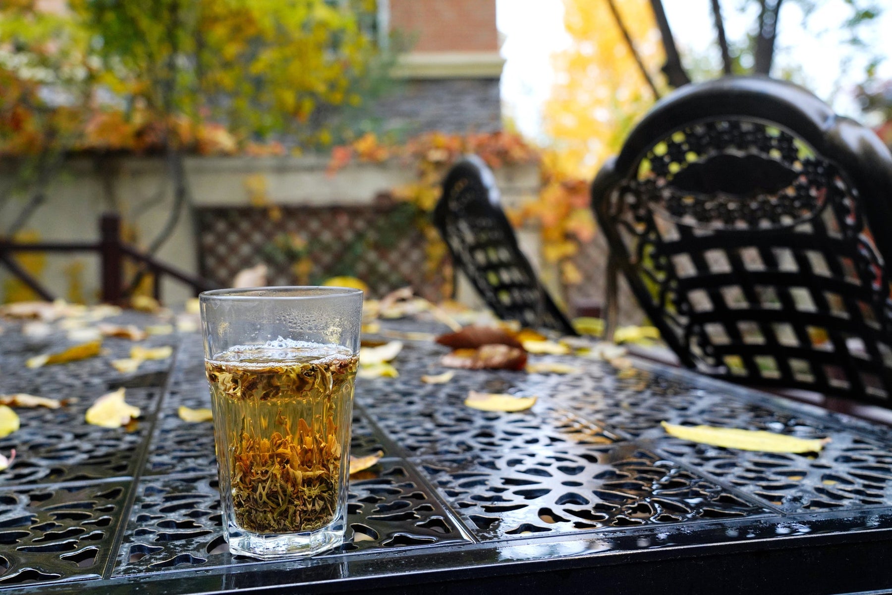 Creating a Warm and Inviting Outdoor Space This Fall