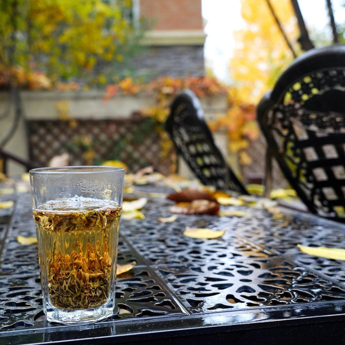 Outdoor Furniture Winnipeg