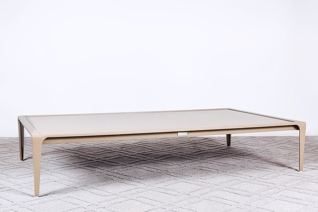 Still 34x58 Coffee Table